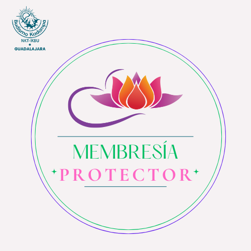 Membresía Protector 2026